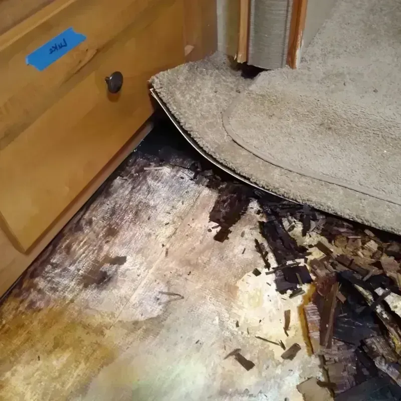 Wood Floor Water Damage in Lebanon, PA